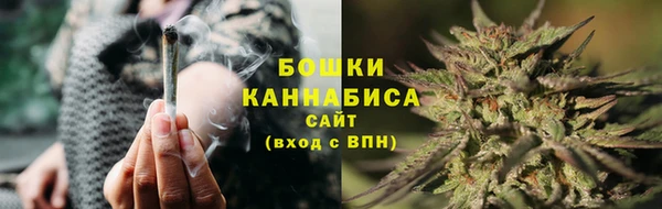 сатива Беломорск
