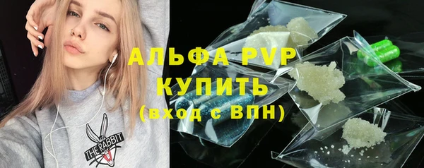 PSILOCYBIN Балабаново