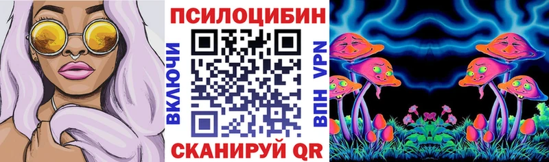хочу наркоту  Старица  Псилоцибиновые грибы Cubensis 